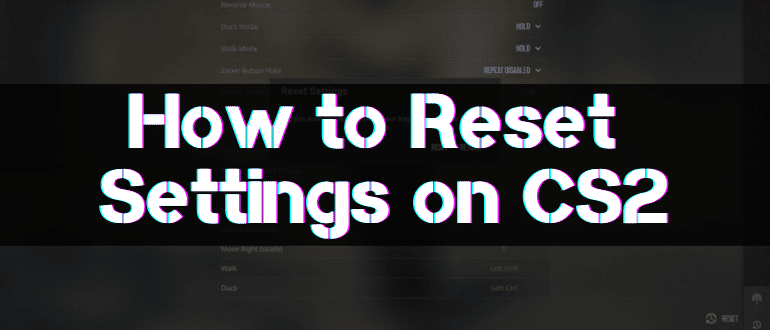 Reset  Settings on CS2