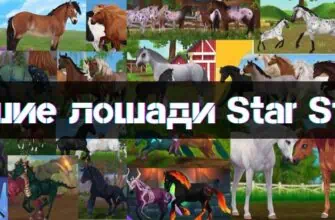 Best Horses in Star Stable