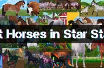 Best Horses in Star Stable - Guide