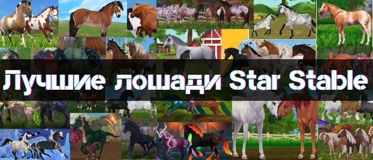 Best Horses in Star Stable