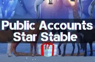 Public Accounts Star Stable