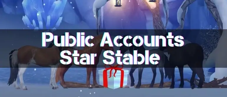 Public Accounts Star Stable